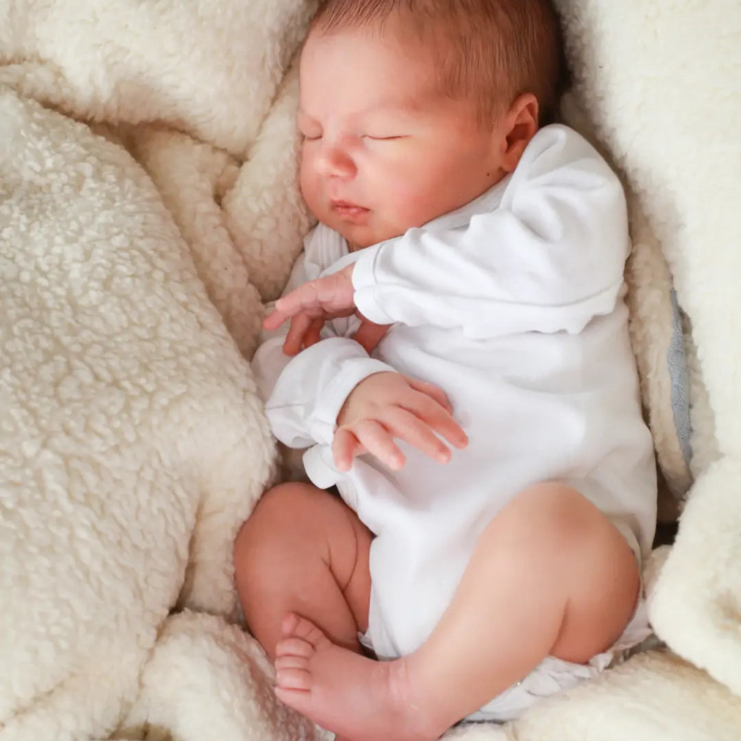 Coperta TEDDY
