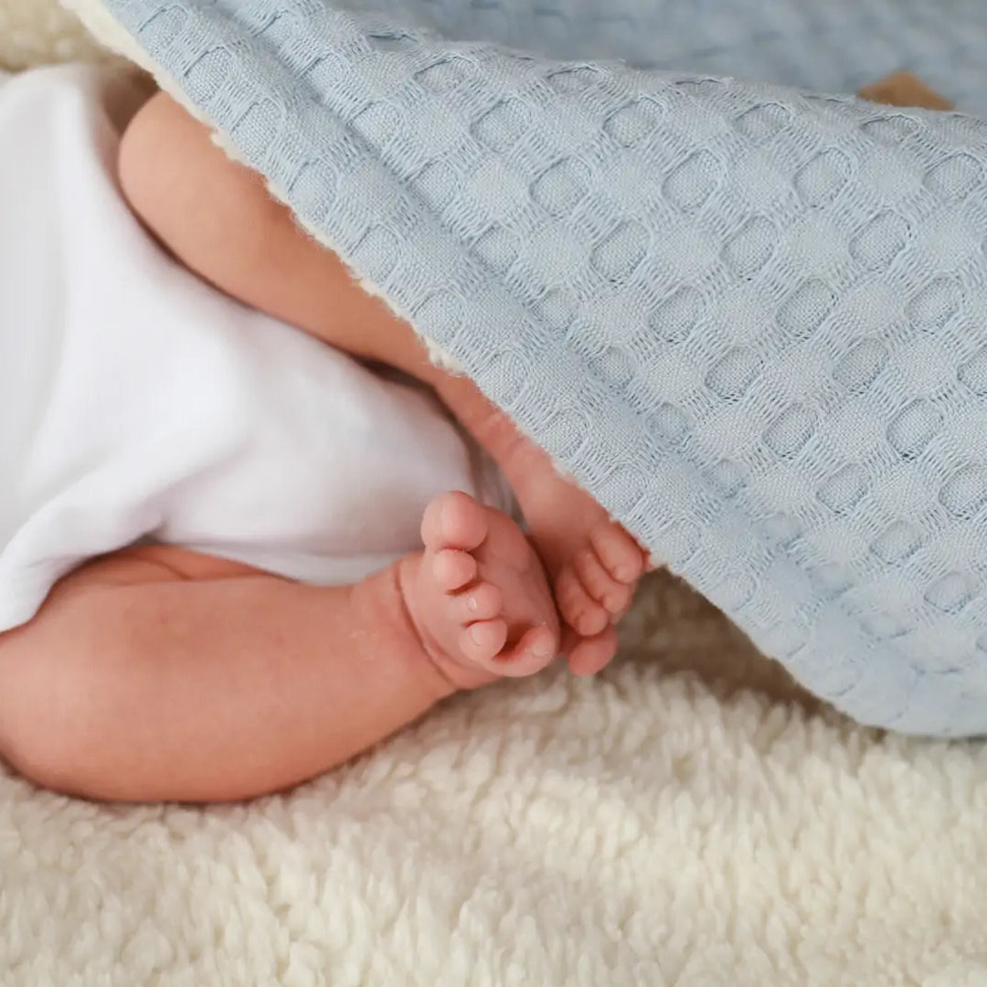 Coperta TEDDY